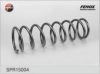 FENOX SPR15004 Coil Spring
